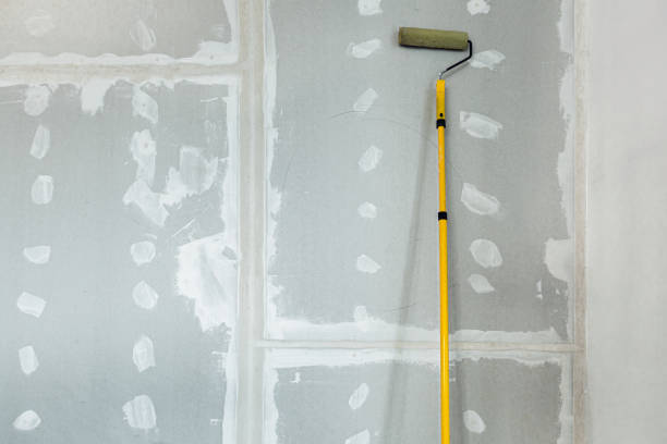 Trusted Nephi, UT Mold Removal Experts