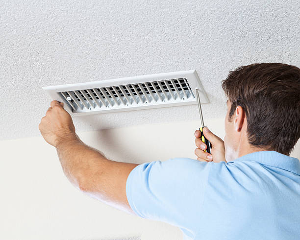Forensic Mold Investigation in Nephi, UT