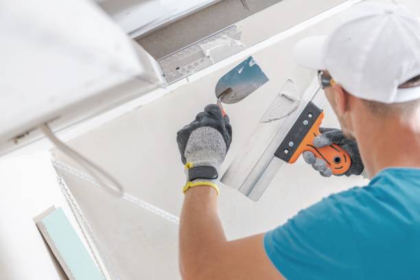 Mold Remediation for Rental Properties in Nephi, UT